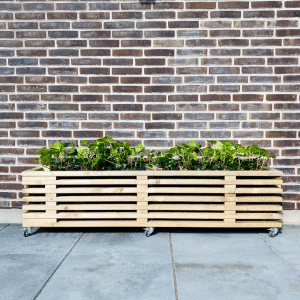 Blomsterkasse af Traller | Brugte Traller | 43 cm (7 Lægter) / 95 cm
