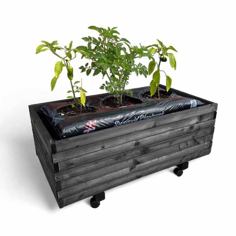 Plantekasse / Kapilærskjuler på hjul 91 x 51 x 36 cm