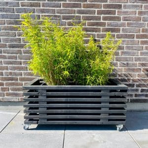 Plantekasse af Traller | Sortbejdset | 65 cm (11 lægter) / 95 cm